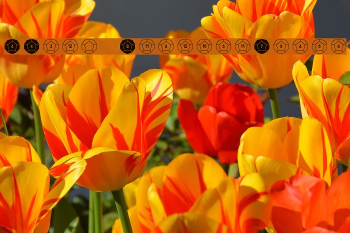 DPoly Twelve-Sider Font examples