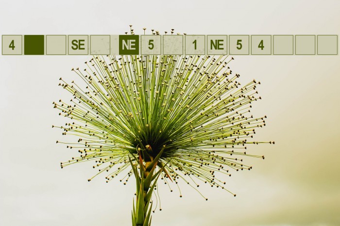 dPoly Hexahedron Example 1