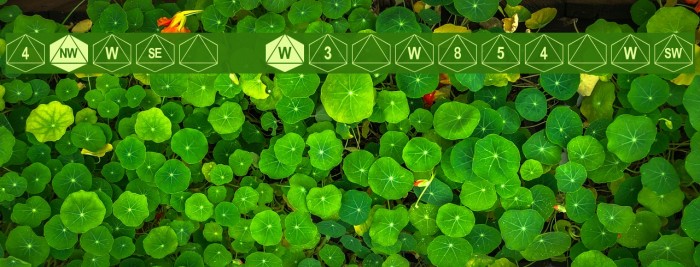 dPoly Octohedron Font examples