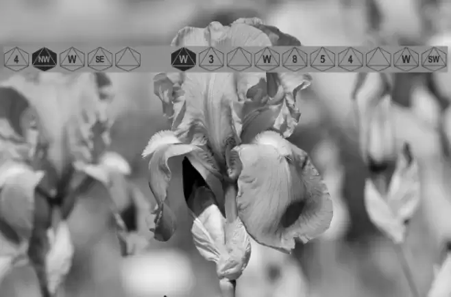 dPoly Octohedron Font examples