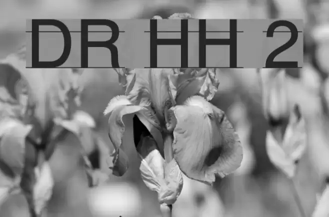 DR HH 2 Font examples