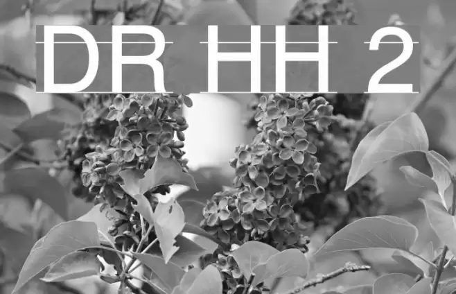 DR HH 2 Font examples