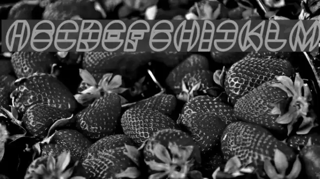 DRAGON FLY Bold Italic Font examples