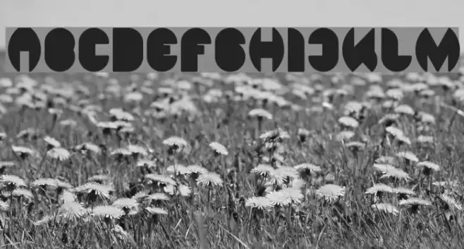 DRAGON FLY-Filled Font examples