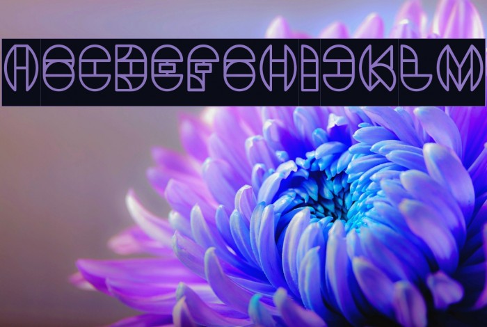 DRAGON FLY-Inverse Font examples