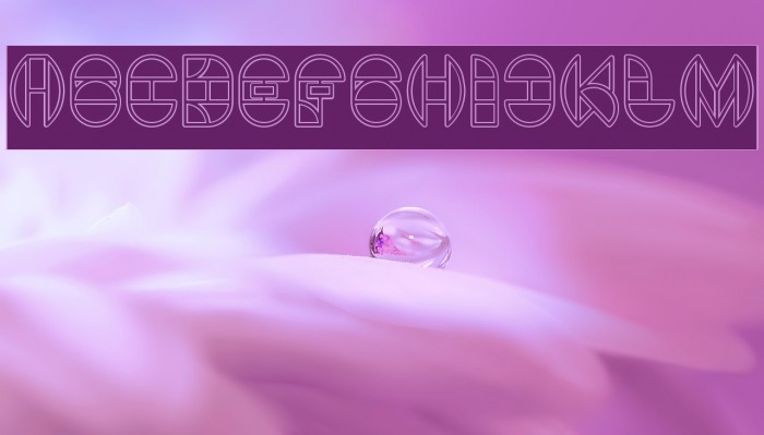 DRAGON FLY-Outlined-Hollow Example 2