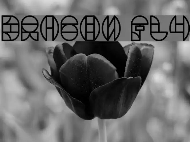 DRAGON FLY Font examples