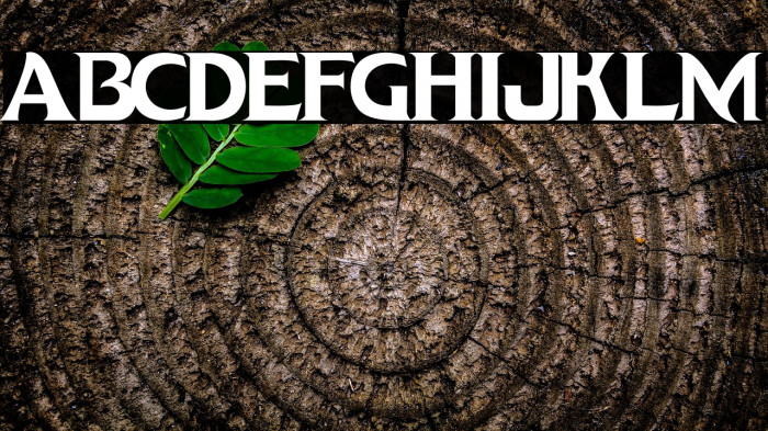 DRAGON HUNTER Example 2