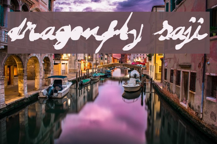 DRAGONFLY saji Font examples