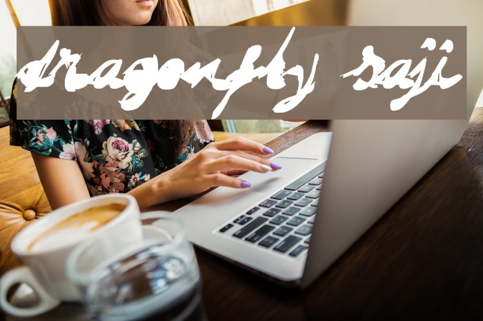 DRAGONFLY saji Font examples