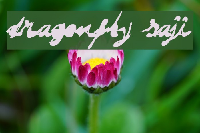 DRAGONFLY saji Font examples
