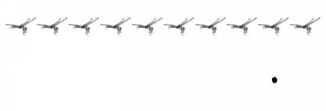 DRAGONFLY Font OTHER CHARS