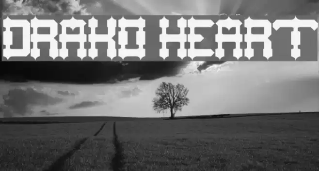 DRAKO HEART Font examples