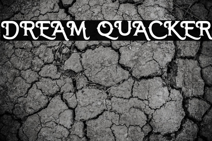 DREAM QUACKER Example 1