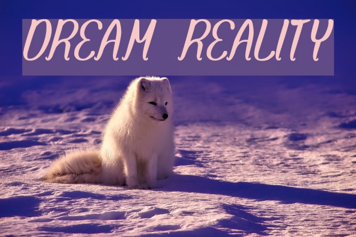 DREAM REALITY Font examples