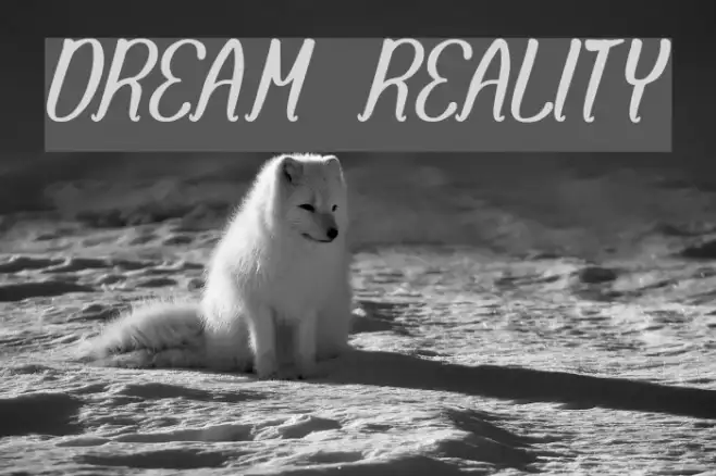 DREAM REALITY Example 2