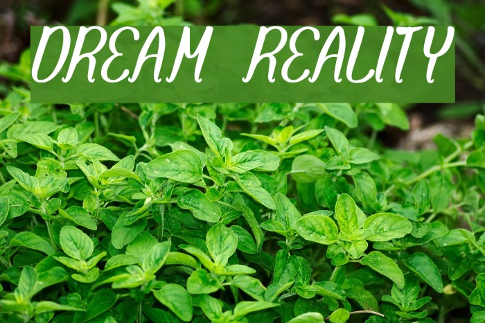 DREAM REALITY Font examples