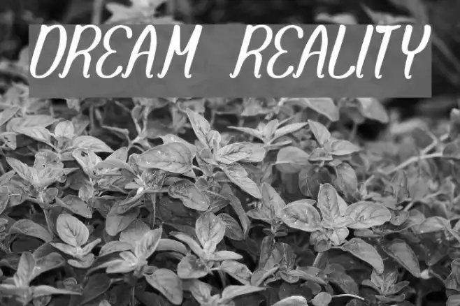DREAM REALITY Example 3
