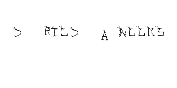 DRIED-WEEKS Logo