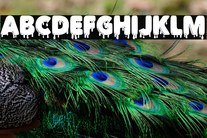 DRIPINKPERSONALUSE-Black Example 2