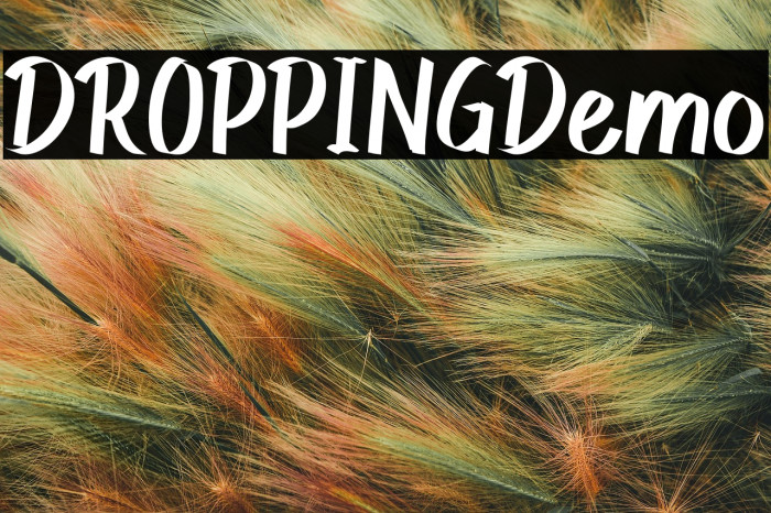 DROPPING Demo Example 1