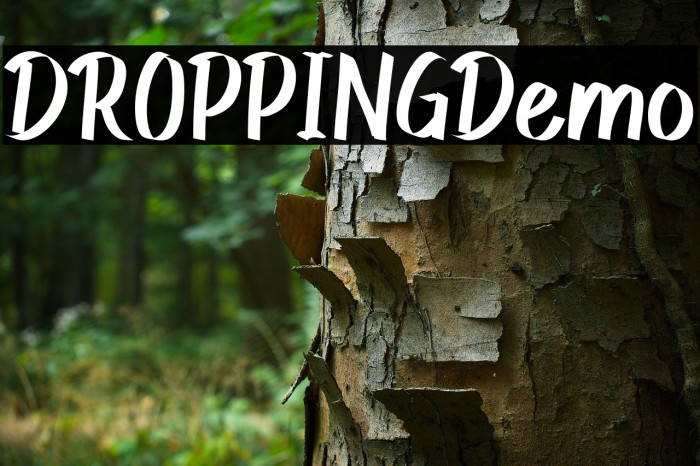 DROPPING Demo Example 2