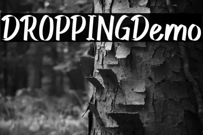 DROPPING Demo Example 2