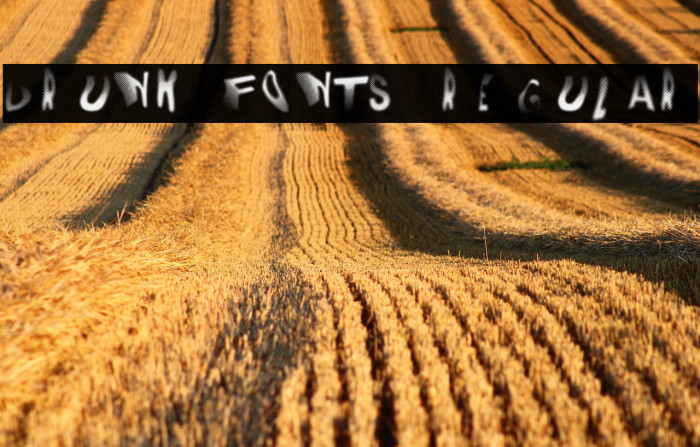 DRUNK FONTS Regular Example 2