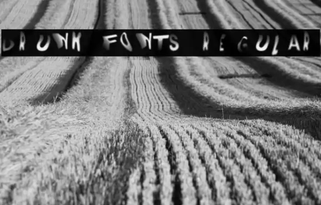 DRUNK FONTS Regular Example 2