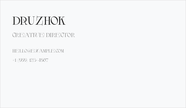 DRUZHOK Business Card