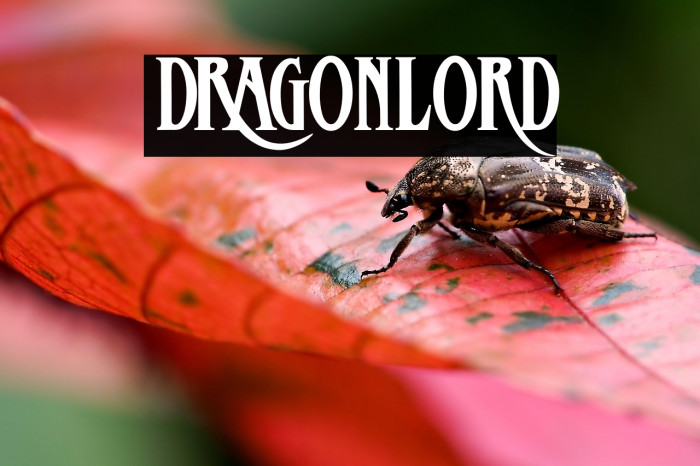 DRagonlord Example 1