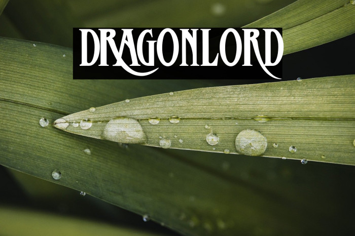 DRagonlord Example 2