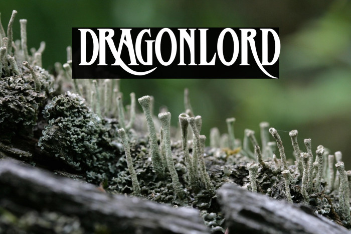 DRagonlord Example 3