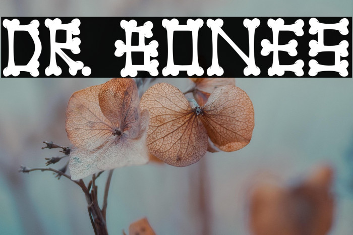 Dr. Bones Example 3