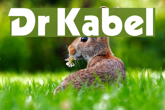 Dr Kabel Font examples