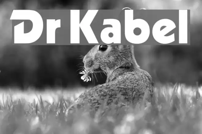 Dr Kabel Example 2