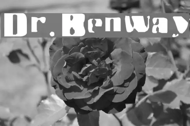Dr.Benway Example 1