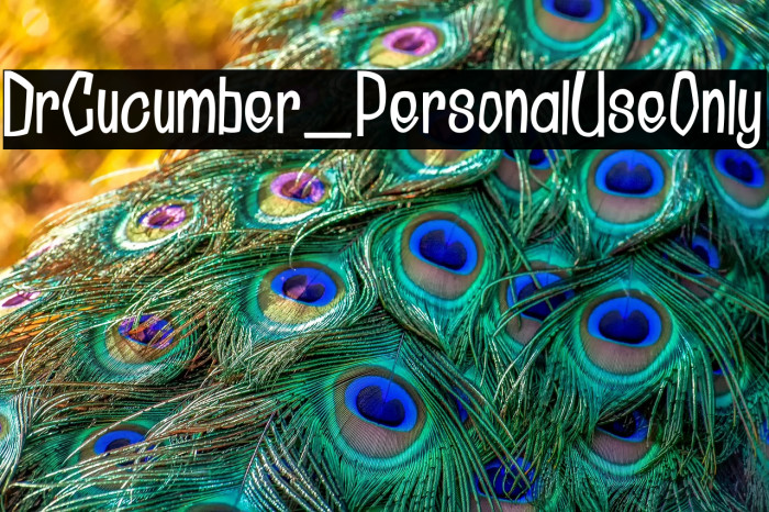 DrCucumber_PersonalUseOnly Example 2