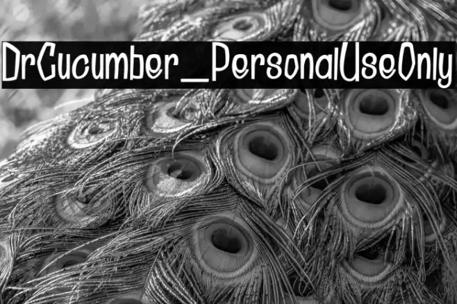 DrCucumber_PersonalUseOnly Example 2