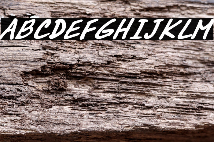 DrMarz Bold Example 1