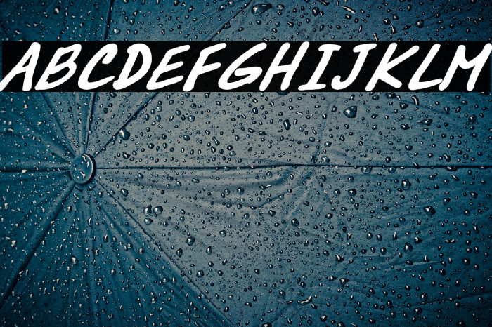 DrMarz Bold Example 2