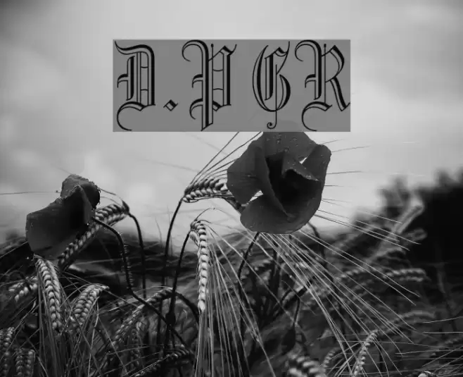 Dr.Po GothicRu フォント examples