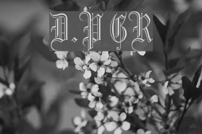 Dr.Po GothicRu フォント examples