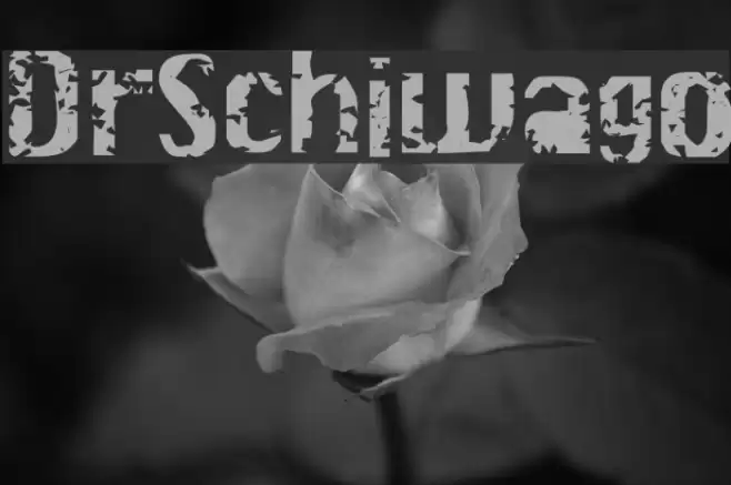 DrSchiwago Font examples