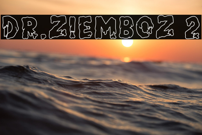 Dr.Ziemboz 2 Example 1