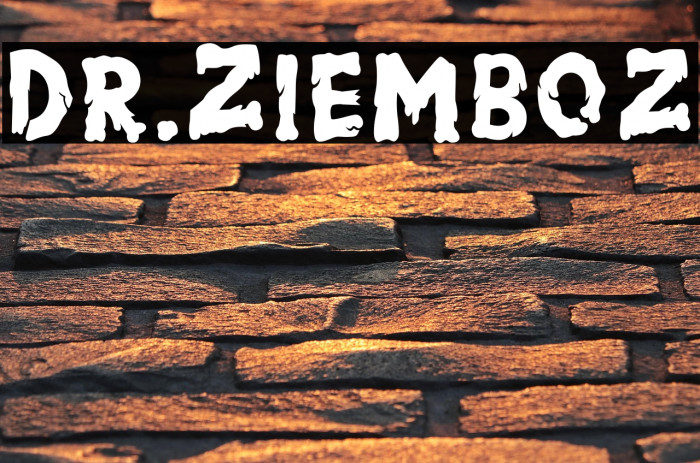 Dr.Ziemboz Example 1