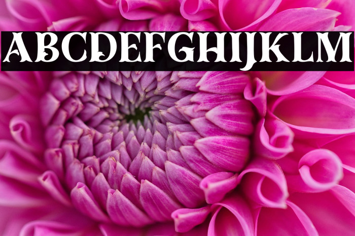 Dracolas Personal Use Example 2