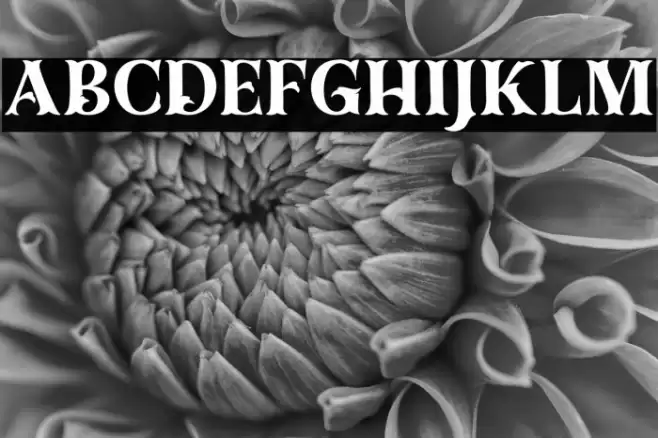 Dracolas Personal Use Font examples