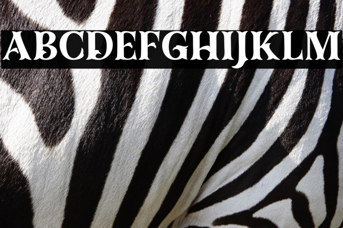 Dracolas Personal Use Example 3