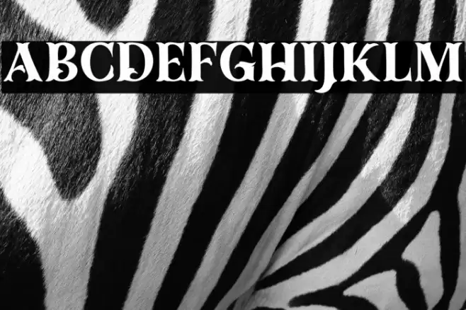 Dracolas Personal Use Font examples